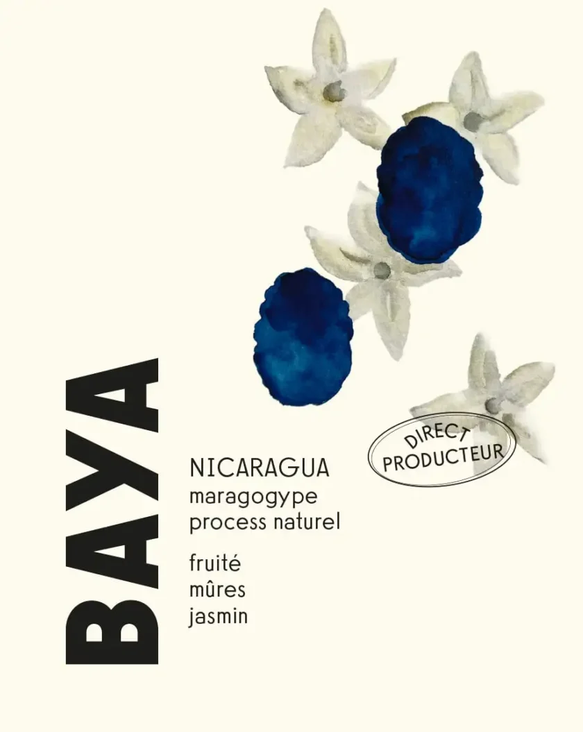 café nicaragua baya - brulerie moka- pack 250g